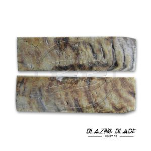 4.5"X1.5" Ram Horn Scales for Knife Making | DIY | 3033